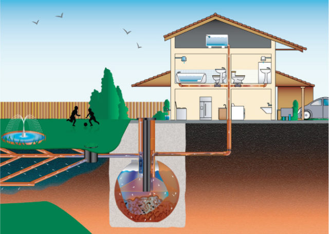 septic-tank-illustration