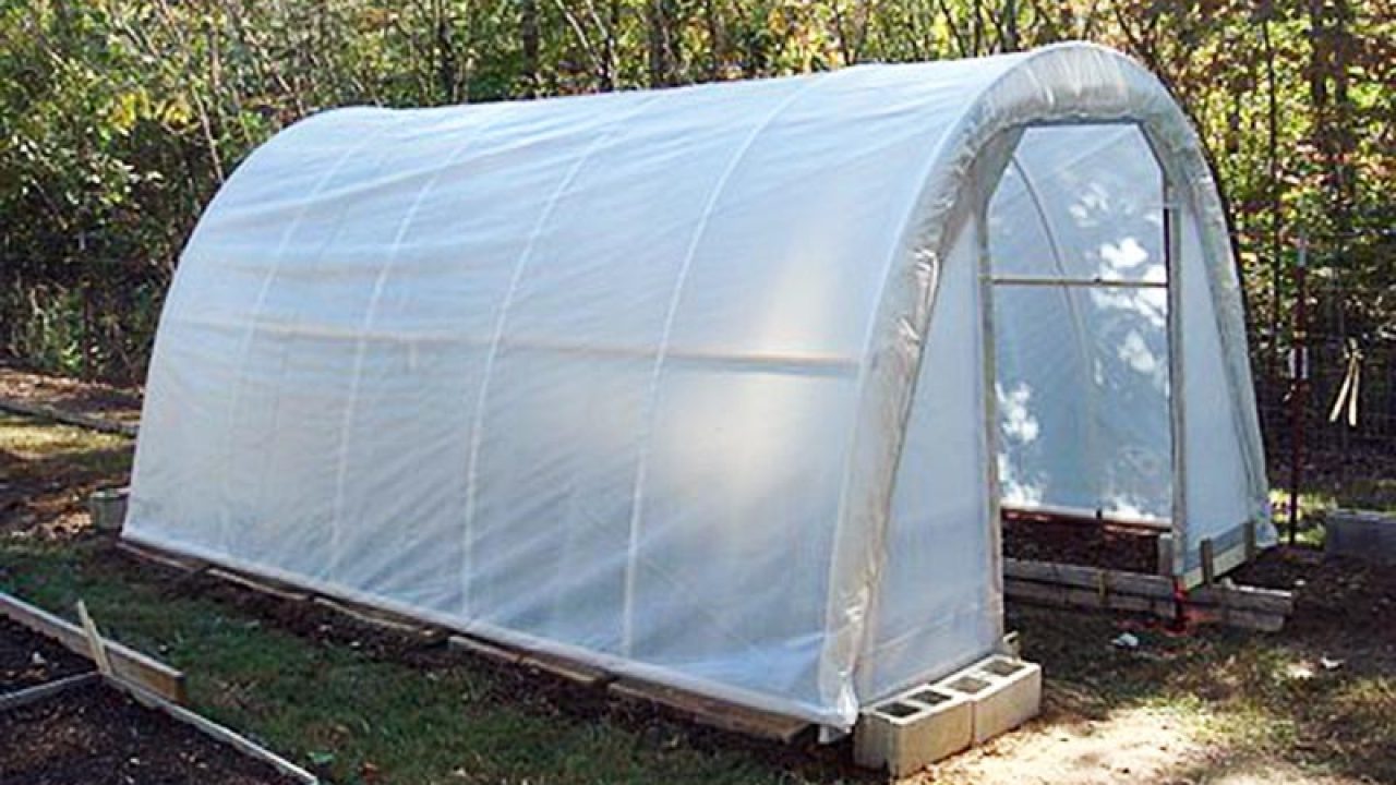 Cara Sederhana Membuat Rumah Kaca Ikonsid