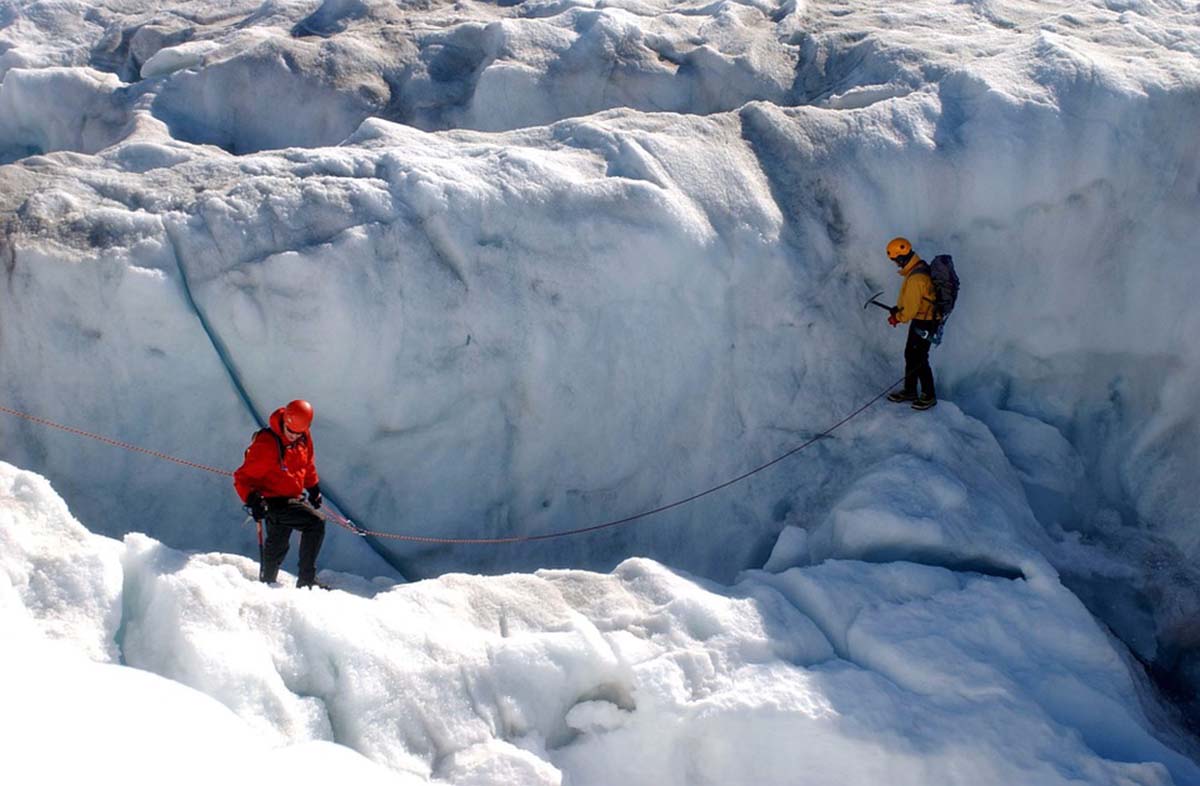 Ganggang di permukaan Greenland dapat mempercepat kenaikan permukaan laut