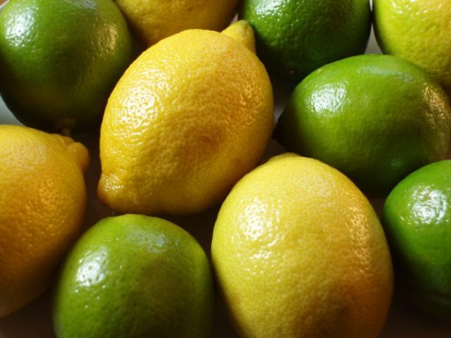 46182-jeruk-lemon-dan-jeruk-nipis-tak-ada-bedanya-keduanya-efektif-membakar-kolori-dan-melawan-kanker