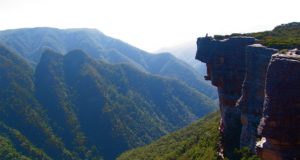 Margasatwa Paling Langka Di Dunia Tinggal di Gunung Ini