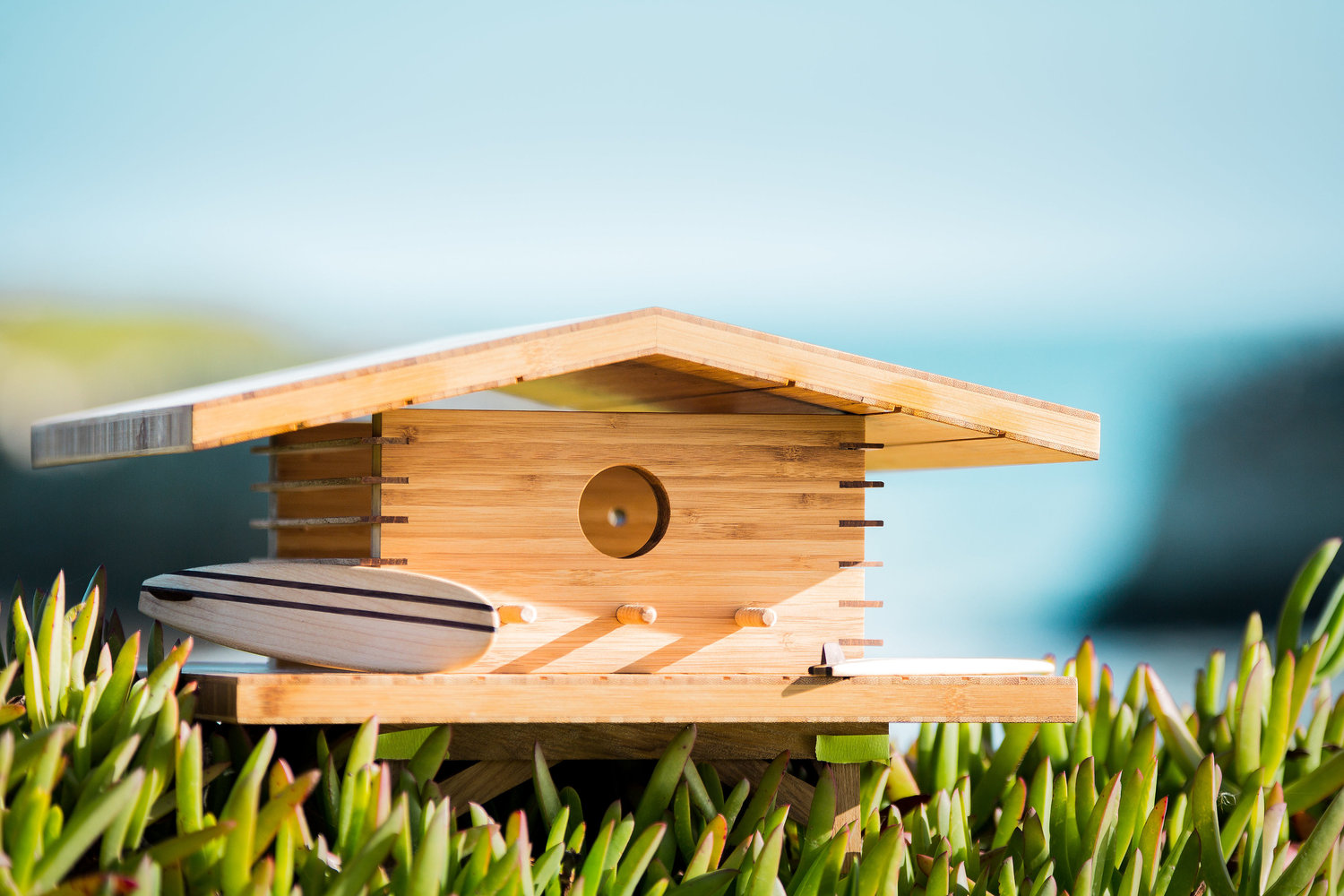 KAUAI HOUSE (Credit: Sourgrassbuilt)