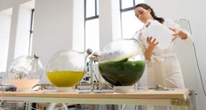Desainer Belanda Mengubah Ganggang Menjadi Bioplastik Melalui Pencetakan 3D