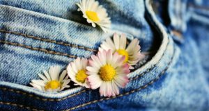 Bakteri Menjadikan Blue Jeans Hijau