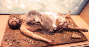 Penggalian Mengungkapkan Neanderthal Menggunakan Api Untuk Membuat Peralatan