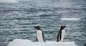 Apa yang Kita Lakukan dalam 5 Tahun Berikutnya Akan Mempengaruhi Tingkat Laut Selama Beberapa Abad