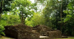 60.000 Struktur Maya Kuno di Hutan Guatemala Ditemukan Melalui Pemindaian Laser