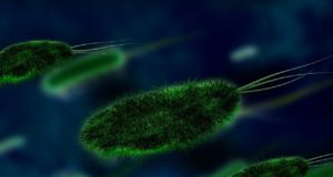 Sejumlah Virus Berbahaya Terus-menerus Menghujani Bumi dari Langit, Studi Menunjukkan
