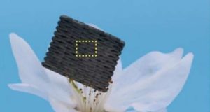 Aerogel Karbon Karet Sangat Memperluas Aplikasi
