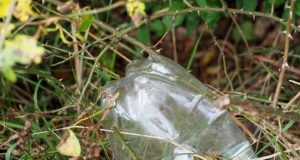 Para Ilmuwan Menciptakan Enzim Pemakan Plastik Secara Tidak Sengaja