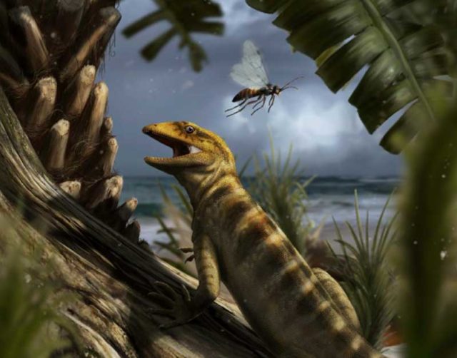 Ibu dari semua kadal yang ditemukan di Pegunungan Alpen Italia