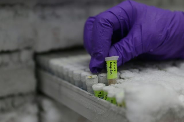 Terungkap, Aspek Baru dalam Evolusi