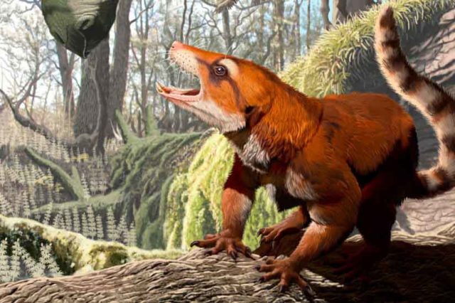 Eksodus Global Kerabat Dekat Mamalia ke Berbagai Benua Besar