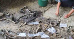 Manusia Purba di Filipina 700.000 Tahun yang Lalu