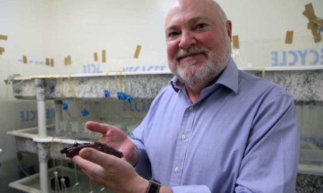 Ilmuwan Berhasil ‘Mentransfer’ Ingatan