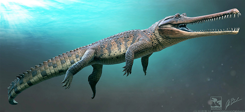 Thoracosaurus Reptil Purba Dari Era Dinosaurus Yang Bukan Buaya