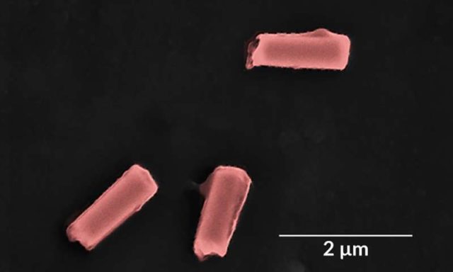 Robot-Nano Dapat Membersihkan Bakteri dan Racun Dalam Darah