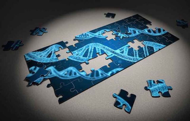 Transfer Gen Lintas Spesies Telah Menggerakkan Evolusi