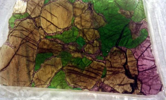 Petunjuk baru tentang kepunahan massal terbesar