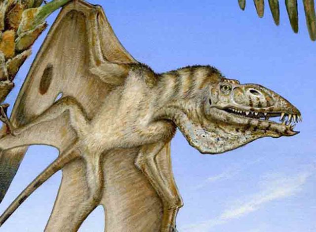 Spesies baru predator terbang dari 200 juta tahun yang lalu