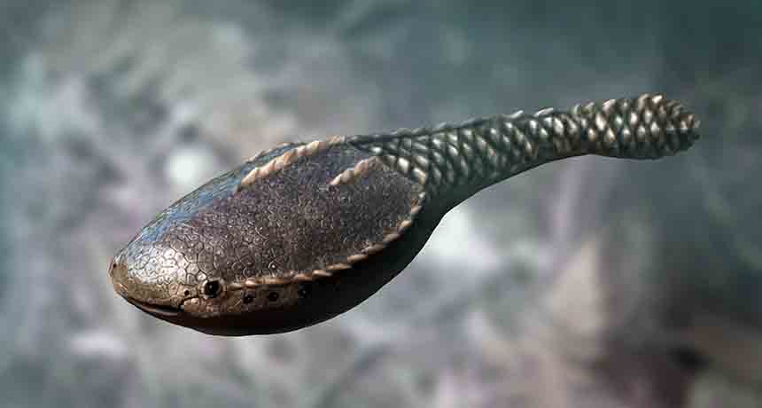 ikan pertama di bumi