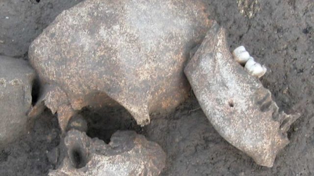 Kepala musuh sengaja diawetkan dalam peperangan Galia