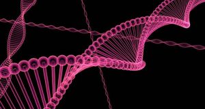 Para ilmuwan memecahkan kode CRISPR untuk mengedit genom manusia secara tepat
