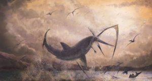 Bukti dari hiu ganas mencaplok pterosaurus di tengah penerbangannya