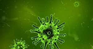 Vaksin HIV melindungi hewan primata dari infeksi
