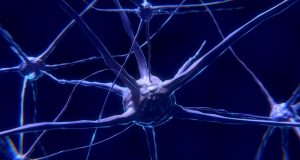 Bentuk komunikasi saraf yang sepenuhnya baru