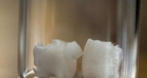 Bahan Pembuatan Implan Tulang Dari Selulosa Tumbuhan