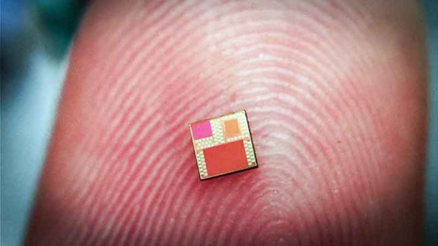 Microchip Diagnosa Kesehatan Seukuran Ujung Jari