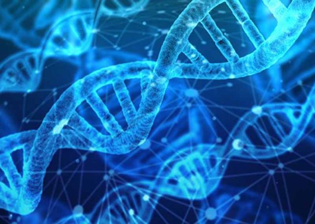 Kasus pertama orang tanpa protein pengikat vitamin D