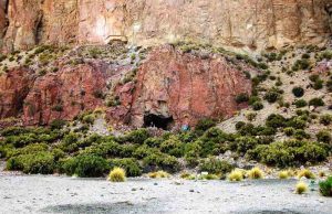 Kantong Kuno 1.000 Tahun Berisi Pengobatan Psikotropika