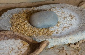 Makanan Olahan Ubah Cara Manusia Purba Berbicara