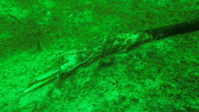 Hilangnya Observatorium Bawah Laut Secara Misterius