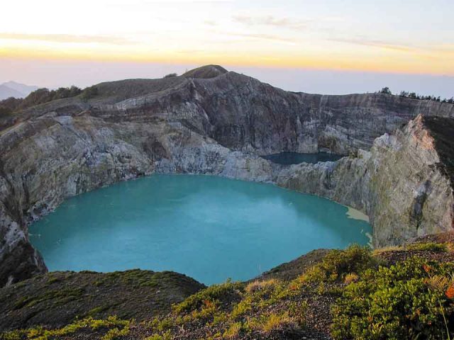 Penjelasan Sosok Kecil yang Telah Punah dari Pulau Flores
