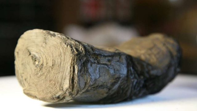 Mengungkap Gulungan Teks Papirus Kuno yang Telah Rapuh