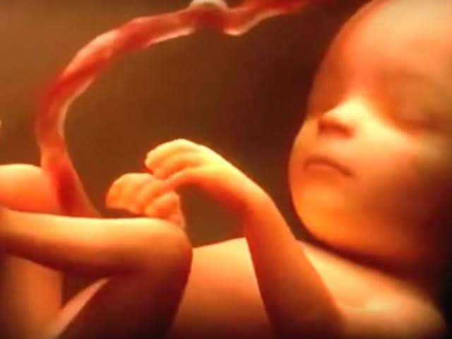 Bayi dalam Kandungan Lebih Dapat Melihat dari yang Diperkirakan