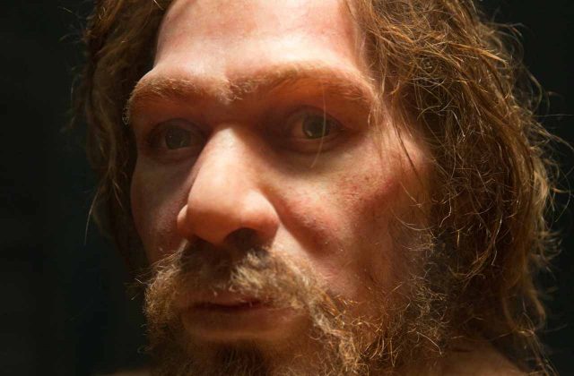 Apakah Kita Penyebab Kepunahan Manusia Purba Lainnya?