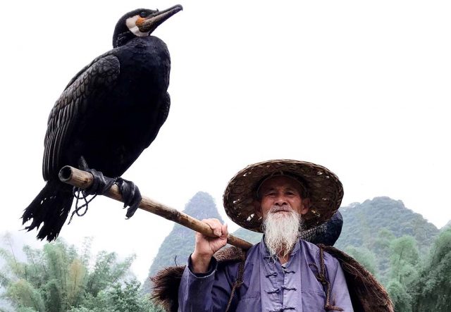 Kita Bisa Merasakan Sentuhan di Luar Tubuh, Melalui Otak Kita