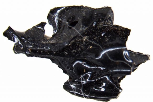 Benda Hitam Mengkilap ini adalah Ceceran Otak Manusia Akibat Letusan Gunung Vesuvius