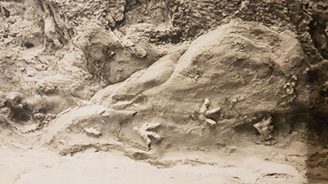 Misteri Jejak Kaki Dinosaurus ini Akhirnya Terungkap Setelah Setengah Abad