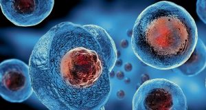 Belum Ada Bukti Ilmiah yang Mendukung Terapi Sel Punca Untuk Pengobatan COVID-19