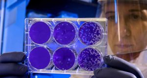 Obat-Obatan Non-Antibiotik Ternyata Dapat Memicu Resistensi Bakteri Terhadap Antibiotik