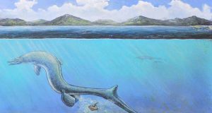 Telur Purba di Antartika Mungkin Milik Kadal Laut yang Sudah Punah