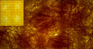 Masker Berbahan Katun Berlapis Lebih Baik Dibandingkan Bahan Sintetis dalam Menghambat COVID-19