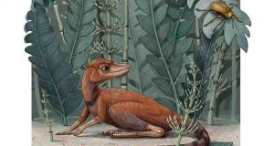 Ditemukan Kerabat Dinosaurus yang Berukuran Sangat Kecil