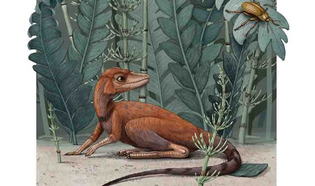 Ditemukan Kerabat Dinosaurus yang Berukuran Sangat Kecil