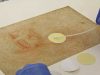 Para peneliti mengumpulkan sampel mikroba dari lukisan da Vinci ‘Potraitof Man in Red Chalk’ (Pinar et al., Frontiers, 2020)